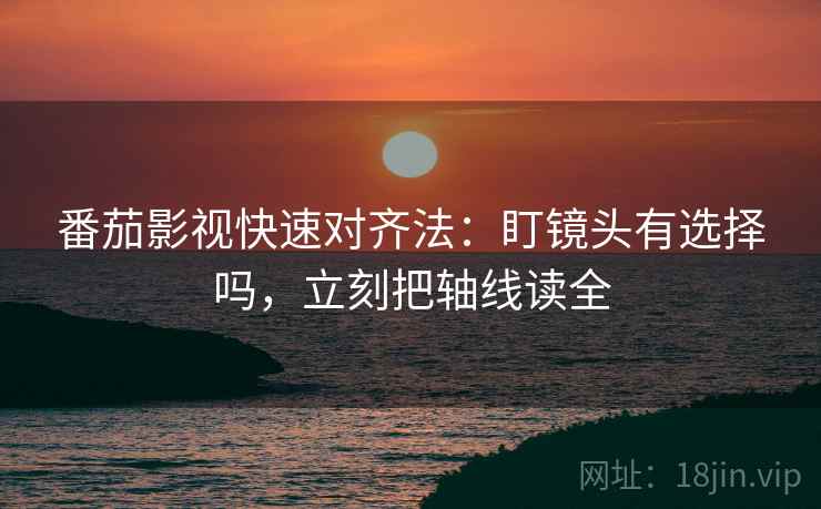 番茄影视快速对齐法：盯镜头有选择吗，立刻把轴线读全
